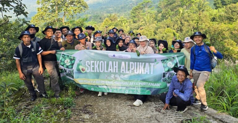 Agroforestry Kopi-Alpukat