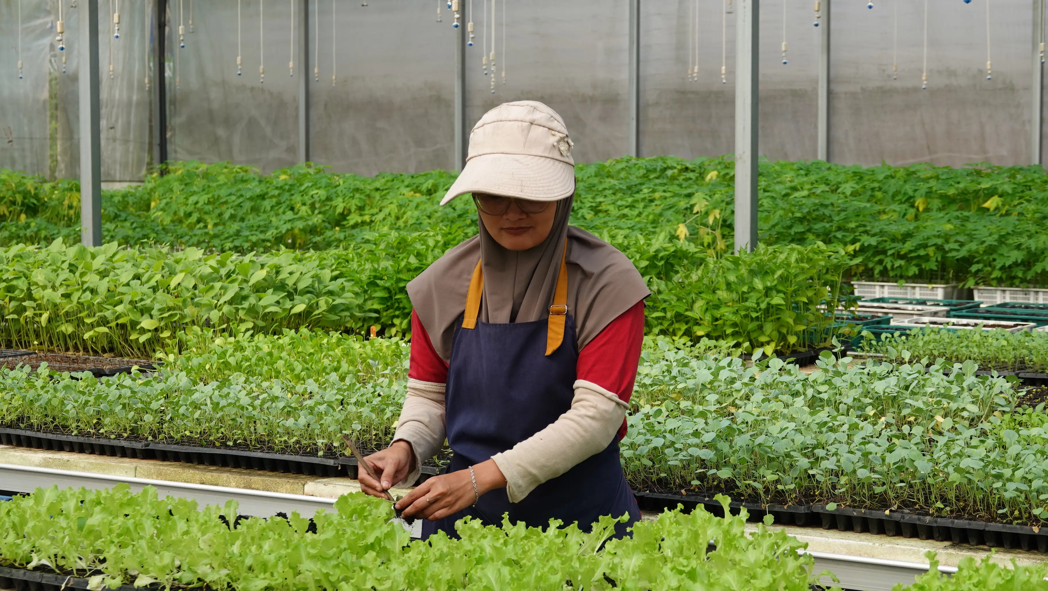 Smart Greenhouse Nursery